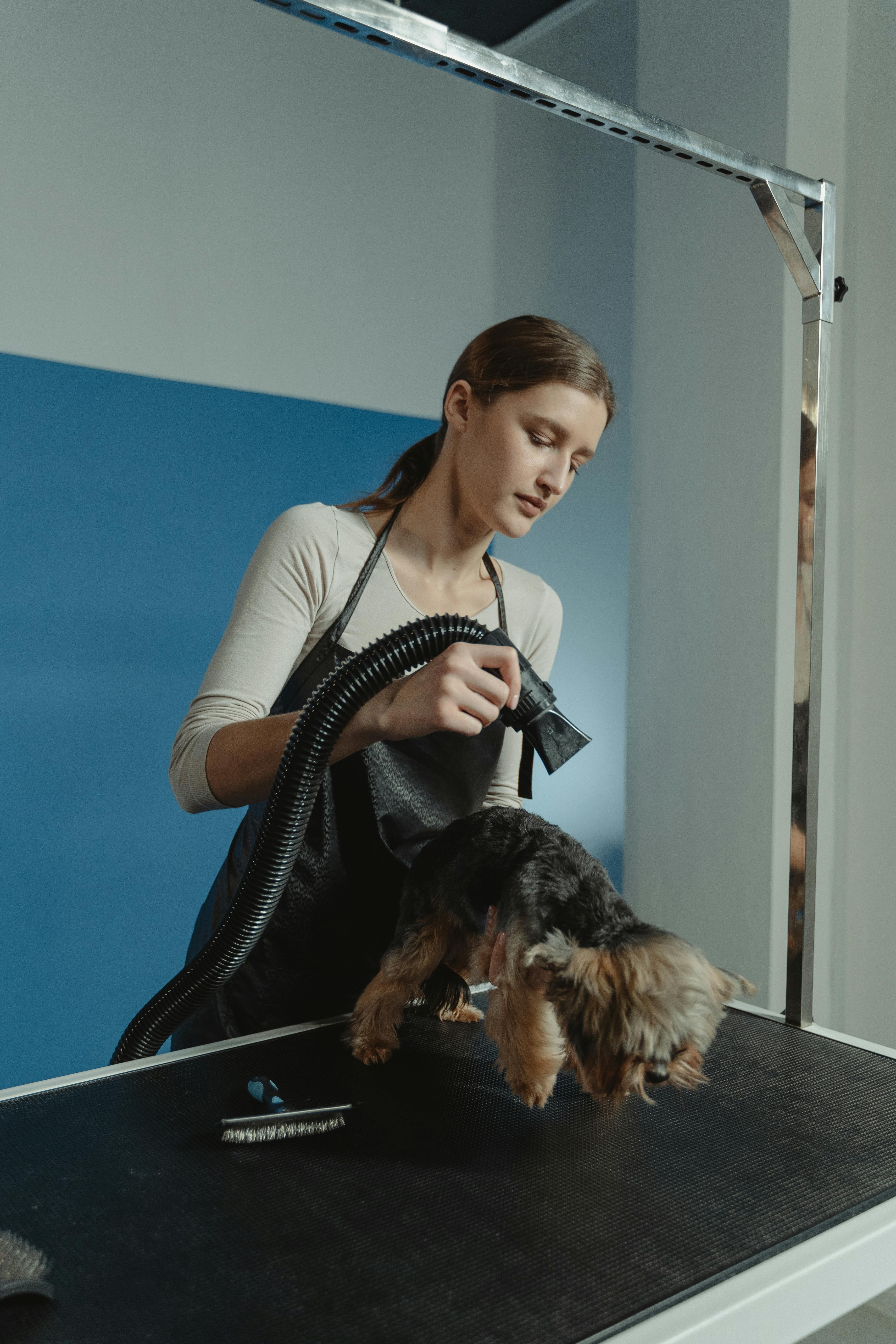 Nail trimming service for a pet